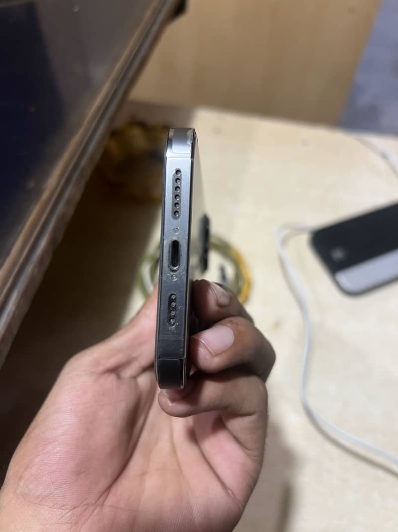 Apple iPhone 13 Pro Max 1