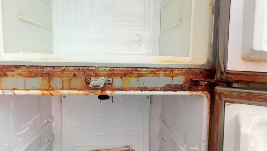 fridge 1