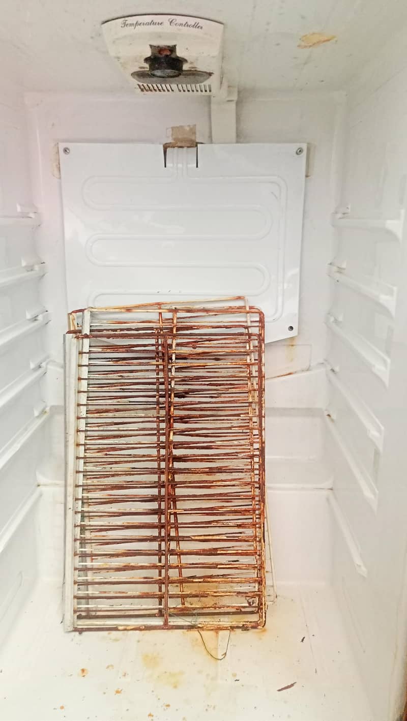 fridge 4