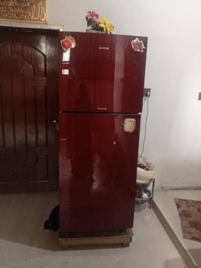 Singer fridge