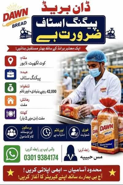need urgent staff down Bread Factory jobs vecancy available in lahore