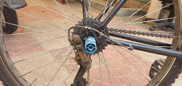 PHEONIX CYCLE 4 SALE !