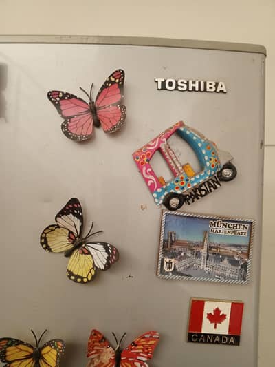 Toshiba Fridge