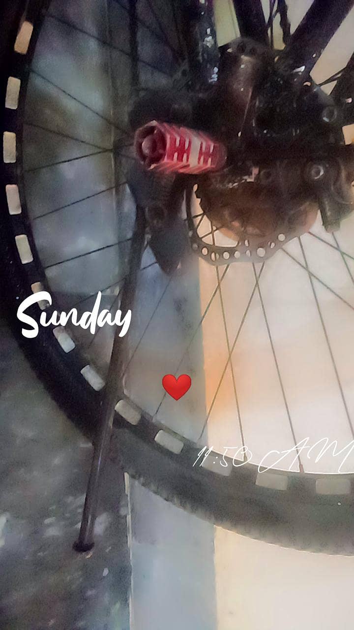 malgioo cycle 0