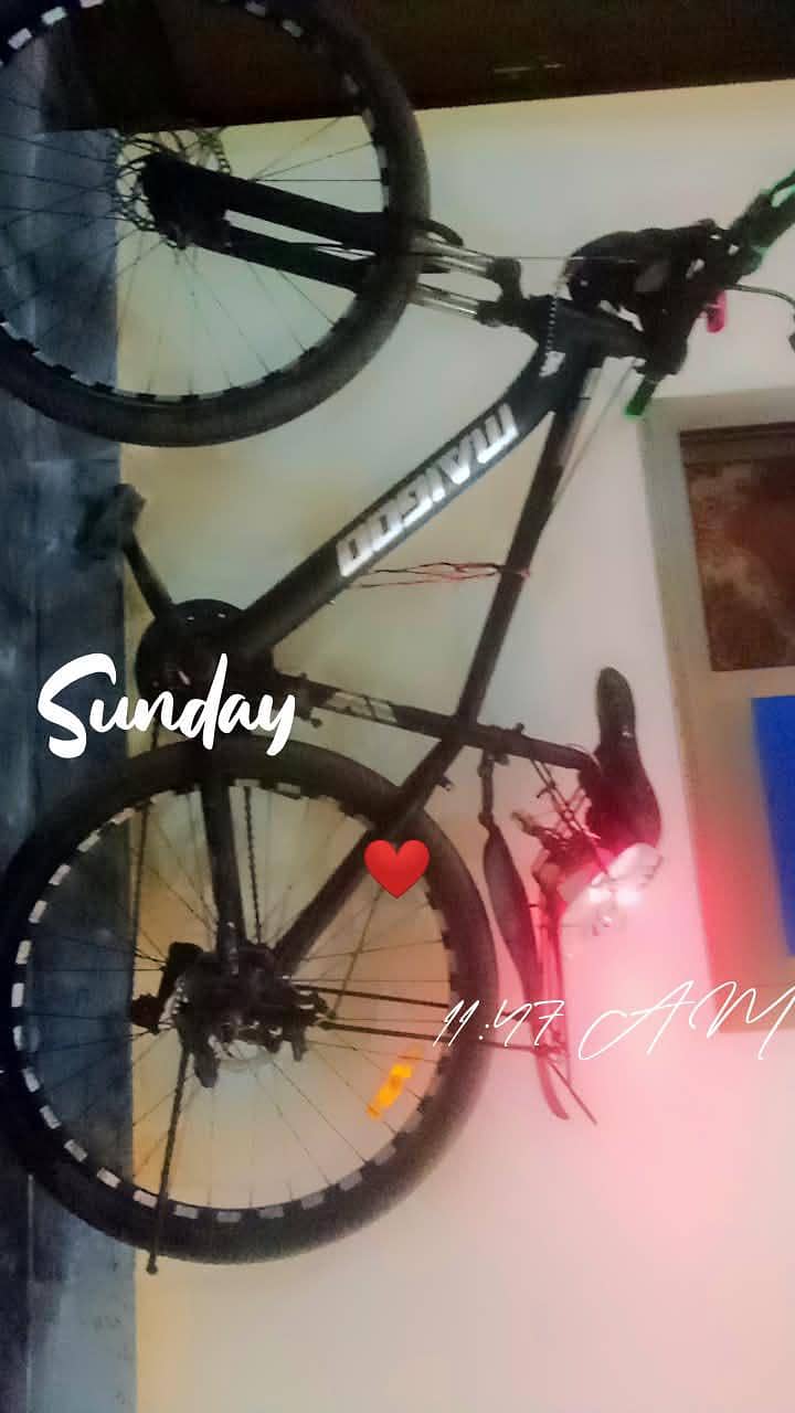 malgioo cycle 6