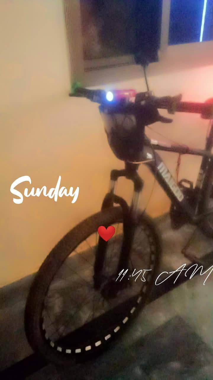 malgioo cycle 11