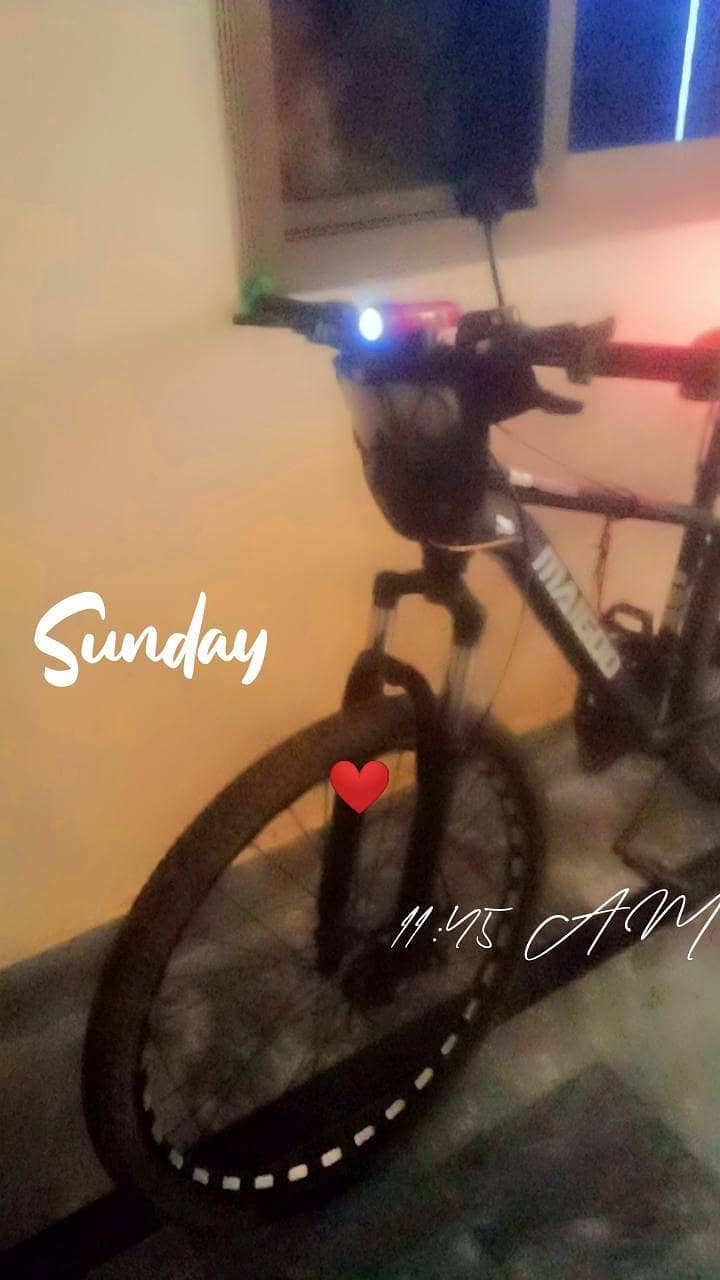 malgioo cycle 12