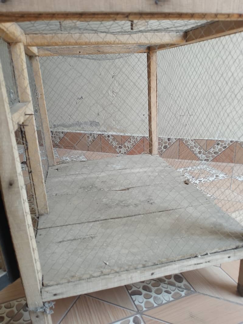 Cage for chicks 1