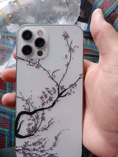 Apple iPhone 12 Pro