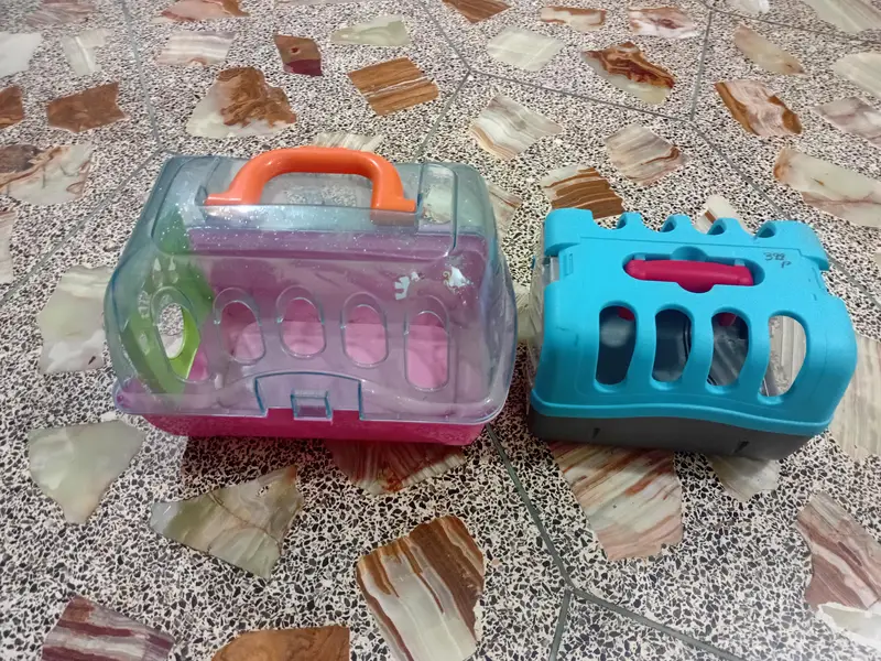 Different Pet Basket And Different Kittens Basket — photo 2
