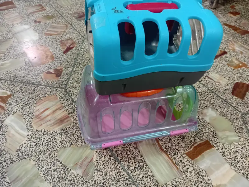 Different Pet Basket And Different Kittens Basket — photo 3