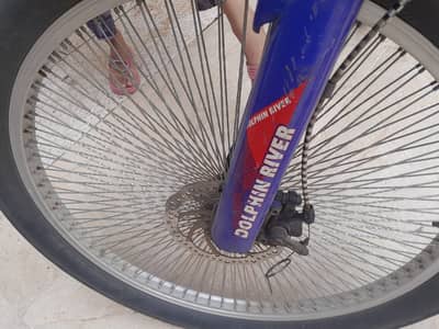 Dolfen reverse  bicycle wind 308, 26Inch