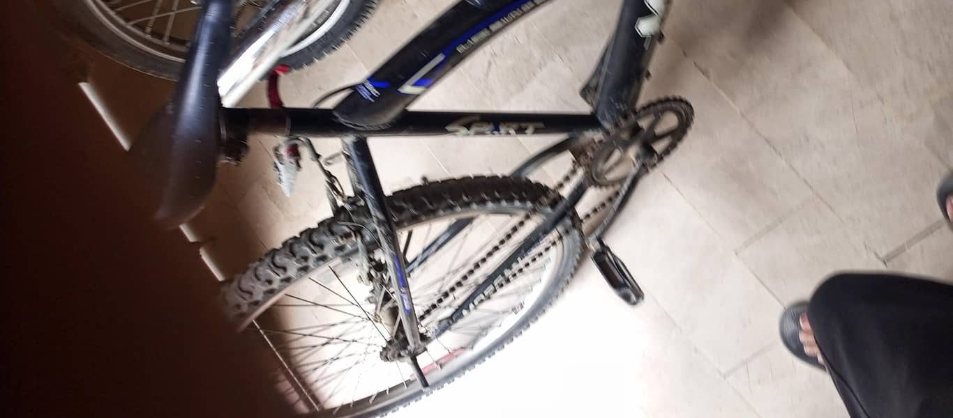 Cycle 2