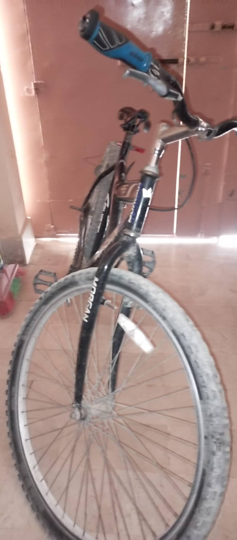 Cycle 3