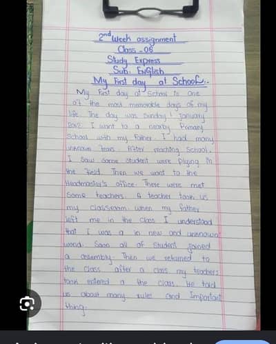 assignment writing