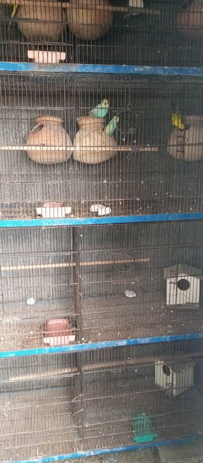 folding cage for sale