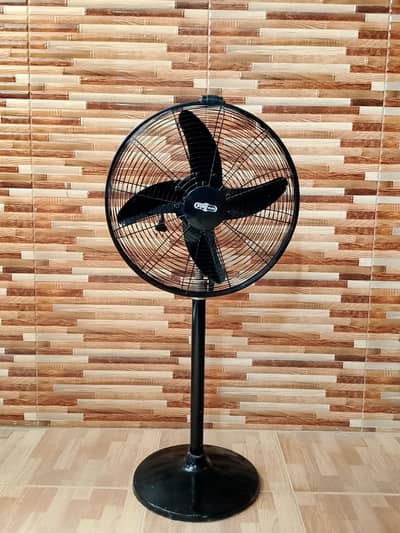 18" Pedestal Fan