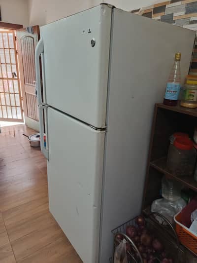 imported General Company Refrigerator 03165100652