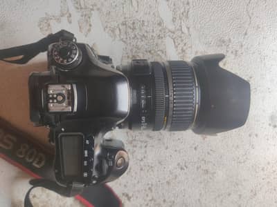 canon 80d