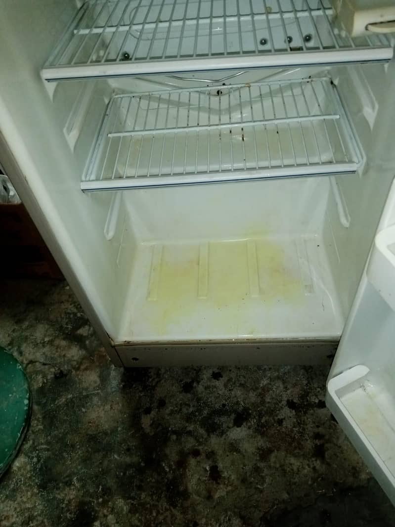 Fridge 1