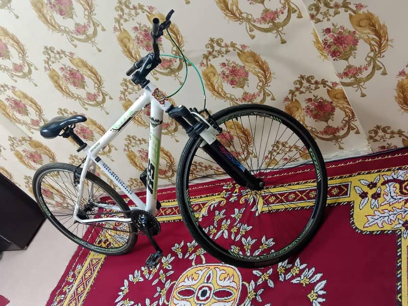 speed cycle 1