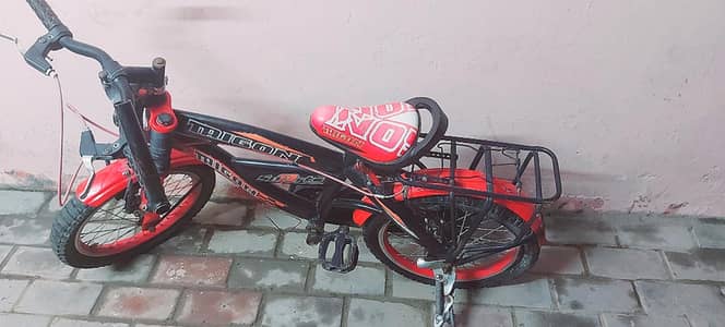 Trigon Bicycle for kids