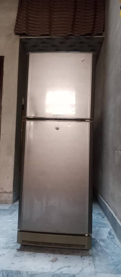 PEL Medium size