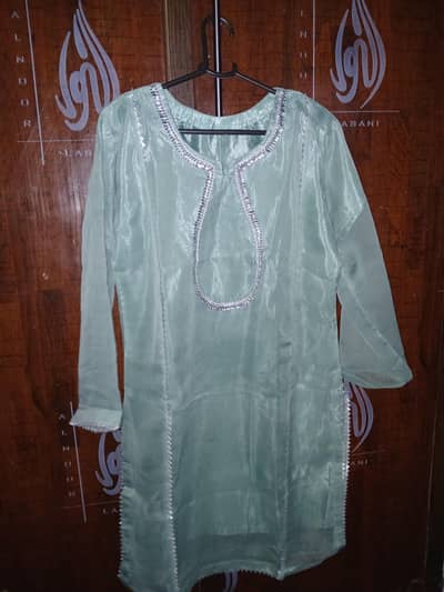 ​Elegant Light Green Organza Dress Set with Silver Work Brand new