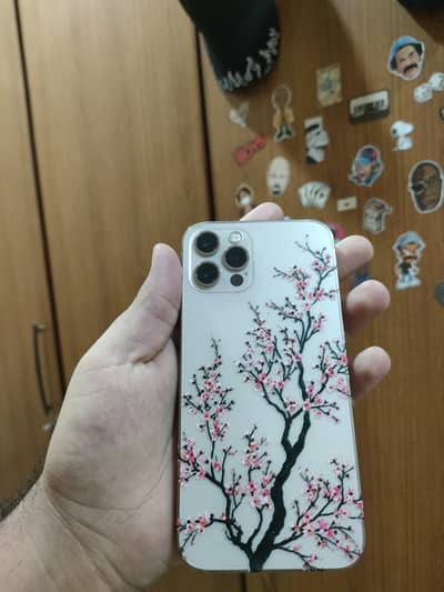 IPhone 12 Pro non pta jv