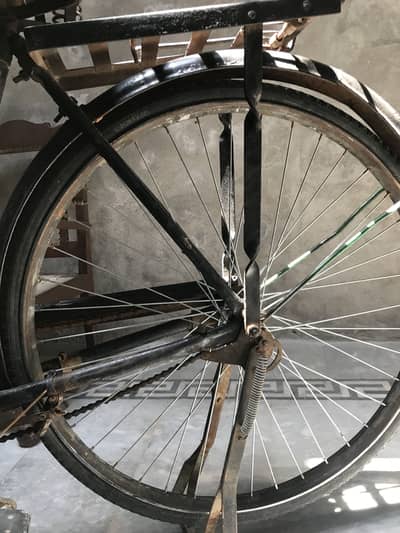 Cycle