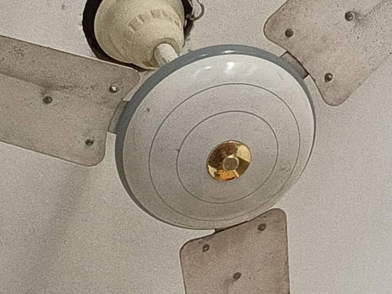 ceiling fan 1