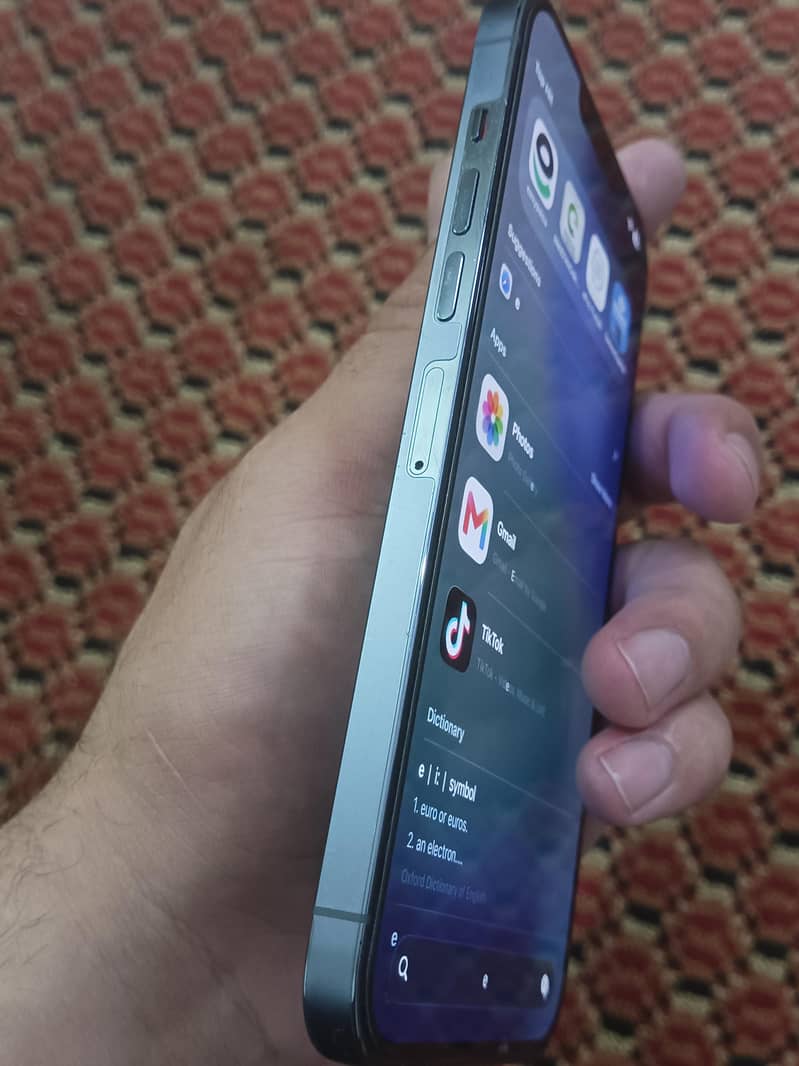 Apple iPhone 13 Pro Max 1