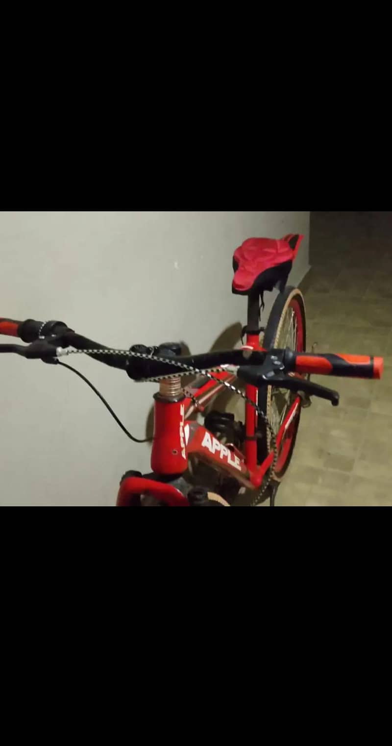 bicycle 1