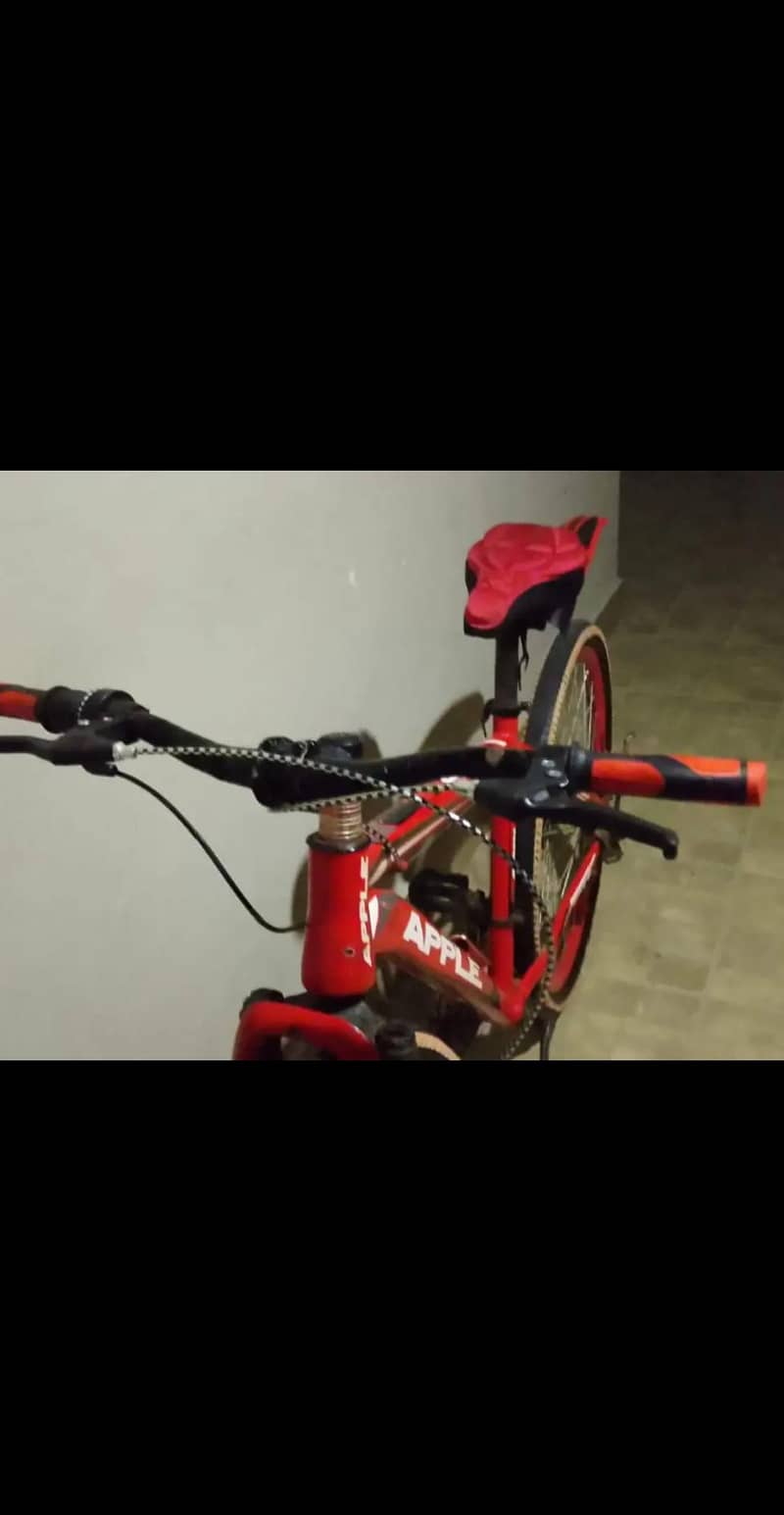 bicycle 2