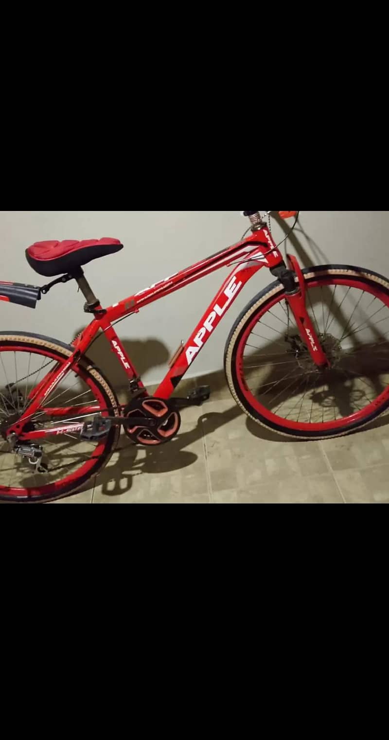 bicycle 6
