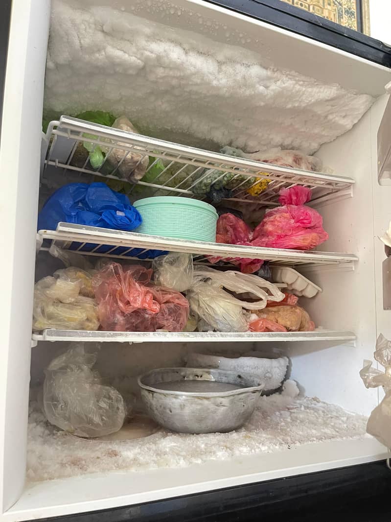 Freezers 1