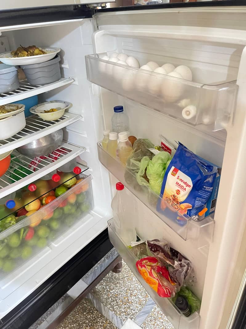 Freezers 2