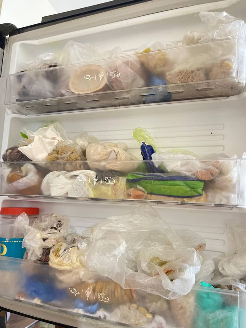 Freezers 4