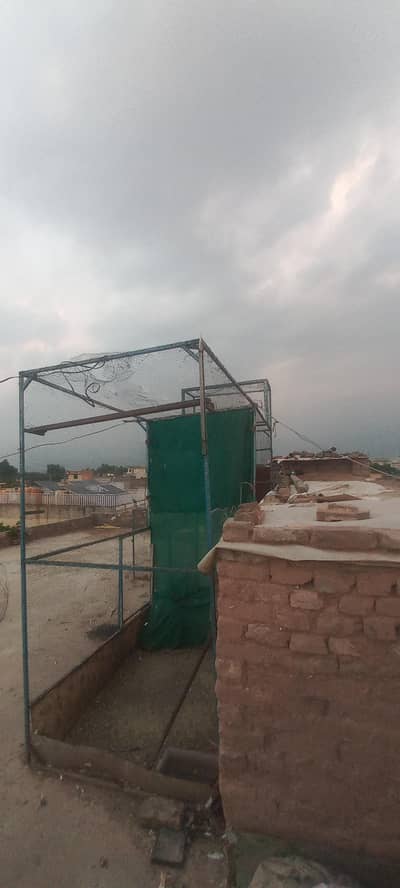 urgently sale pigeons cage. . . .