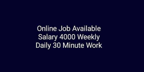 Daily 30 Minute Online Work / Work From Home (Japan Electronics)