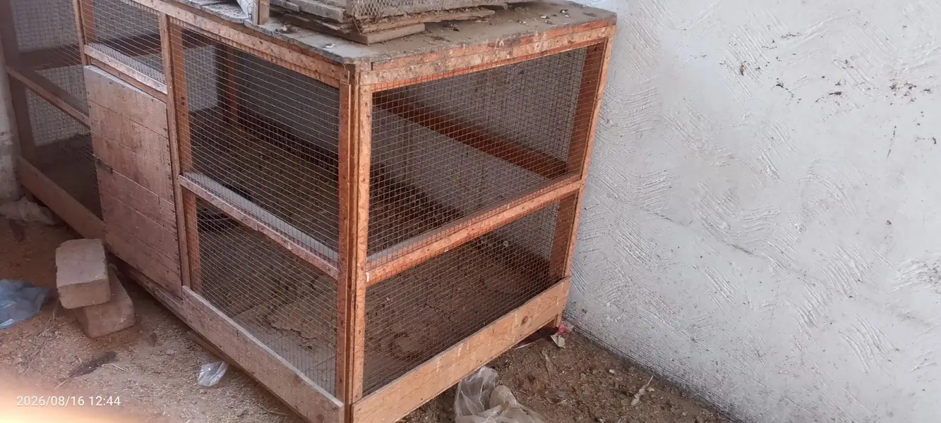 wooden cage — photo 3