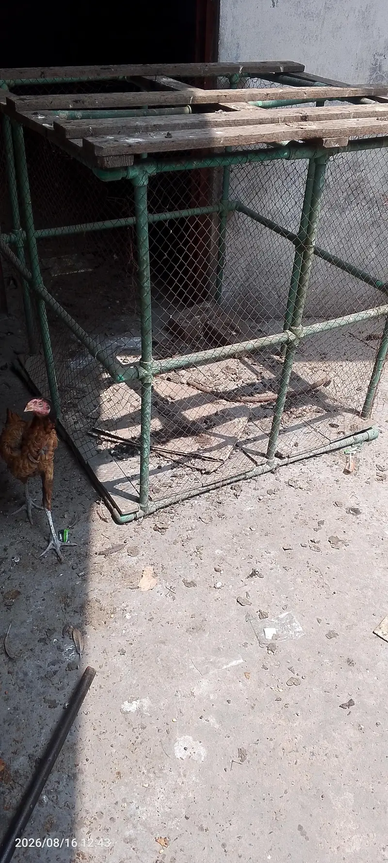 wooden cage — photo 5