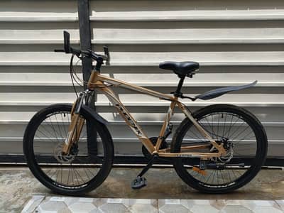 phoenix Bicycles in Aluminum frame