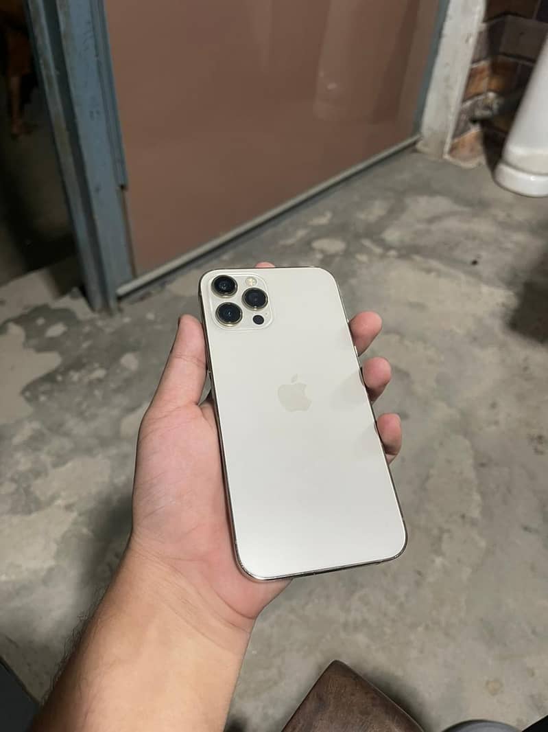 Apple iPhone 12 Pro Max 0