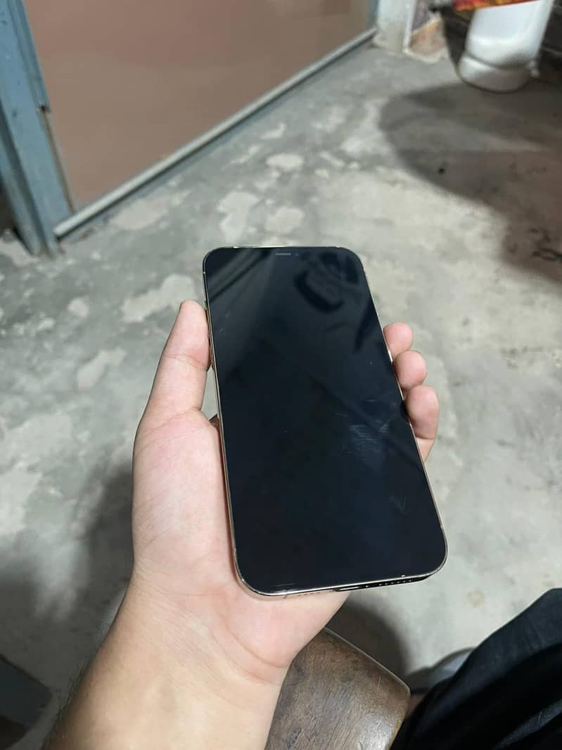 Apple iPhone 12 Pro Max 1