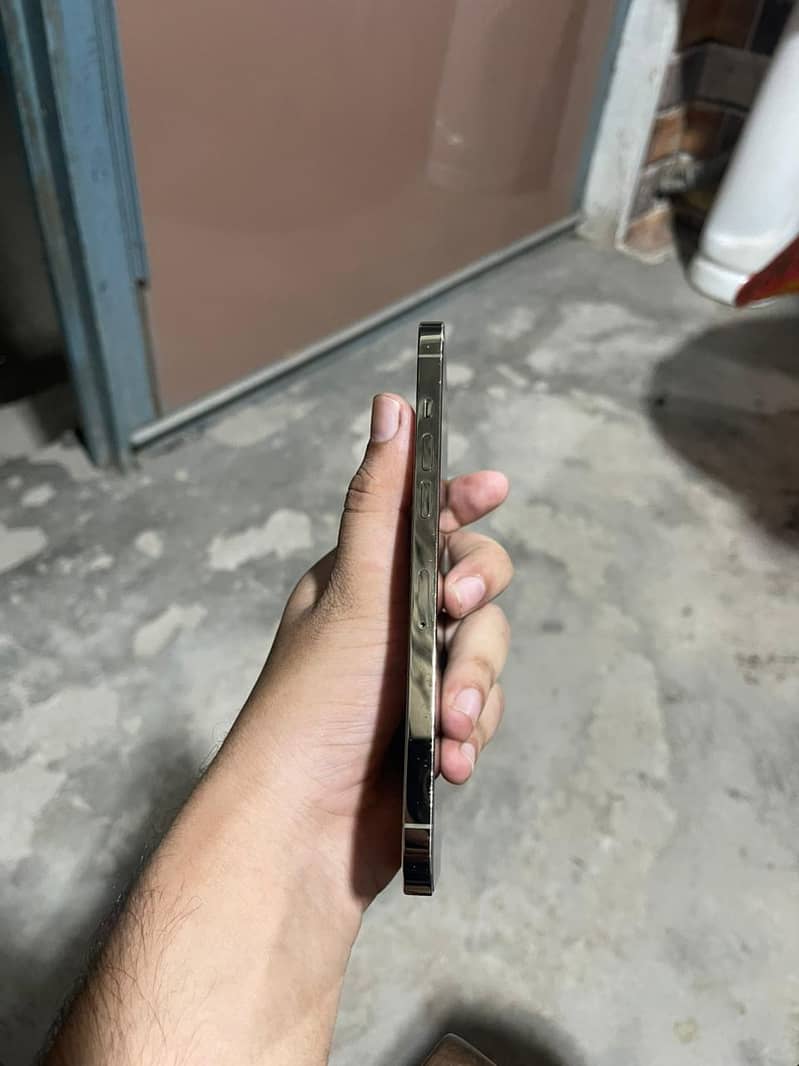 Apple iPhone 12 Pro Max 2
