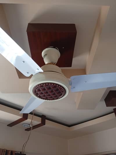 Shaheen AC DC ceiling fan