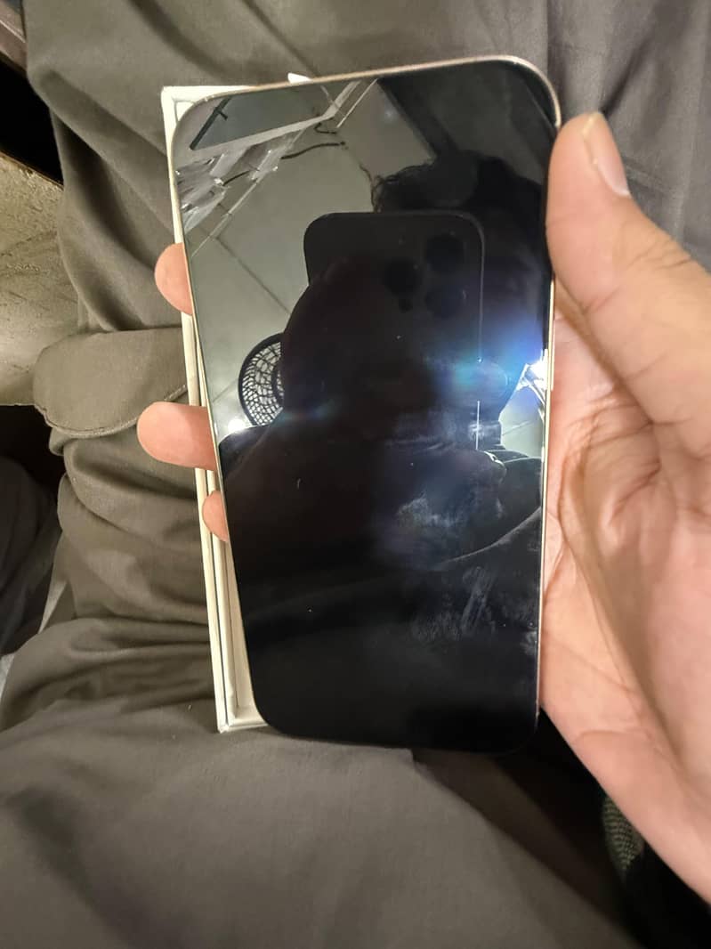 Apple iPhone 16 Pro Max 1