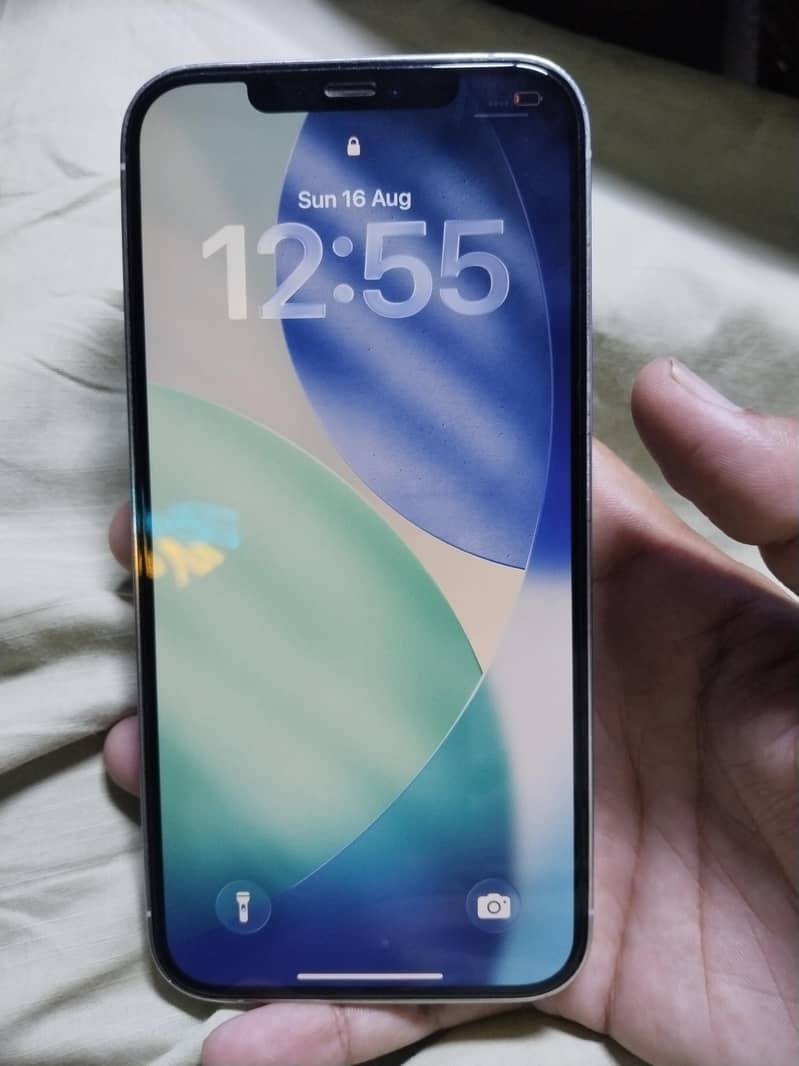 Apple iPhone 12 Pro Max 0