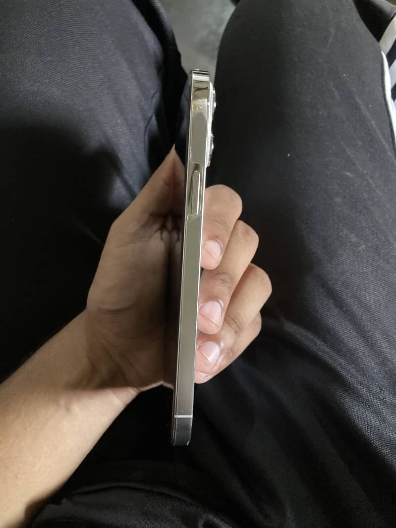 Apple iPhone 13 Pro Max 1
